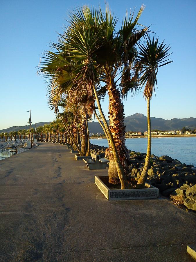 Hotel Valencia Hendaye Exteriör bild